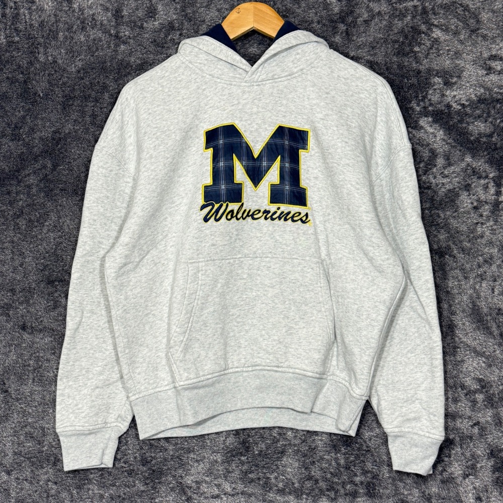 Hollister University of Michigan Wolverines Hoodie Gray Boxy Fit Small